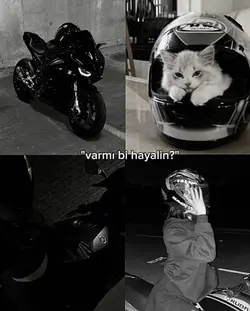 Vaarr