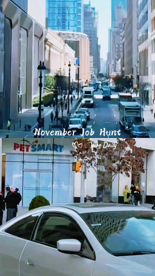 November Job Hunt 