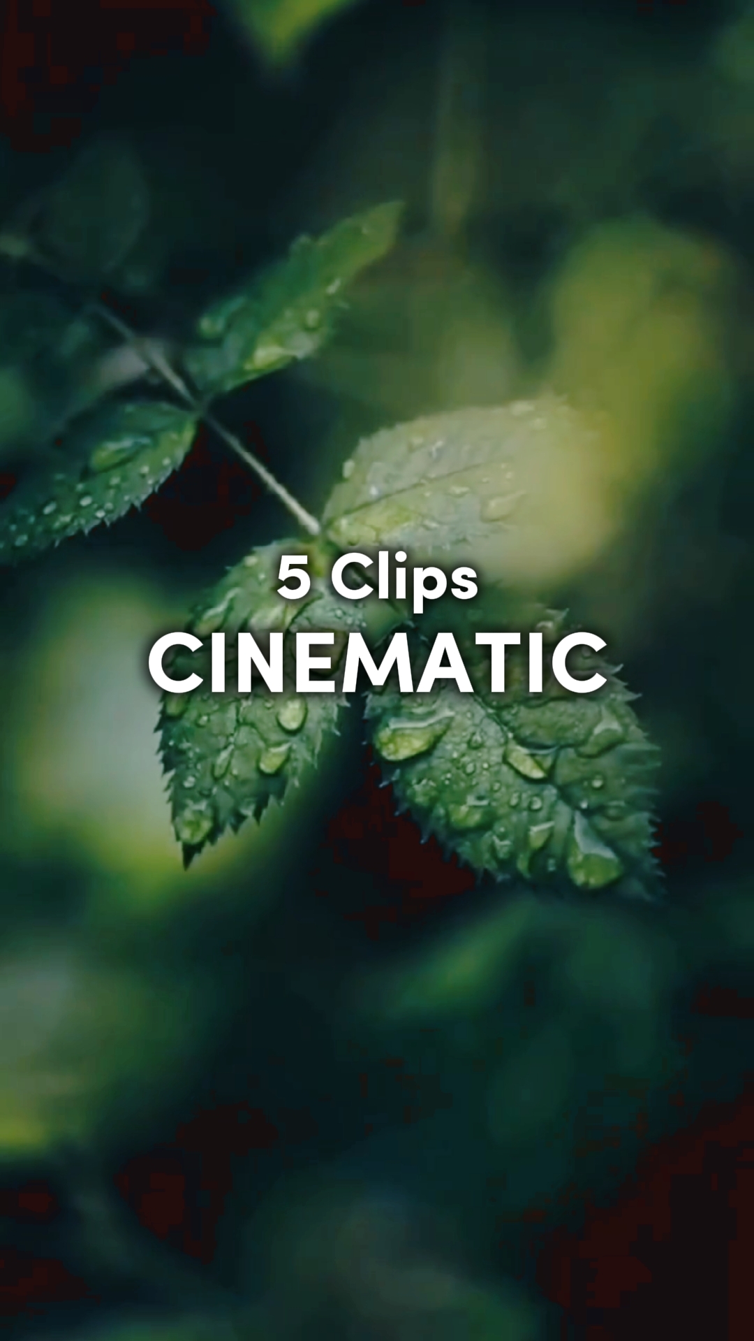 5CLIPS CINÉMATIQUES