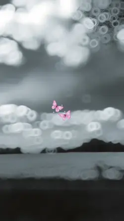SlowMotion