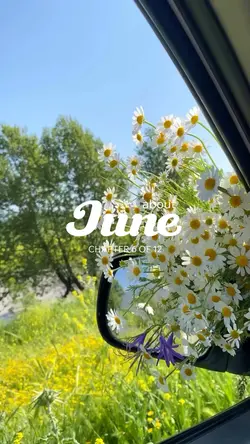 Daily dump