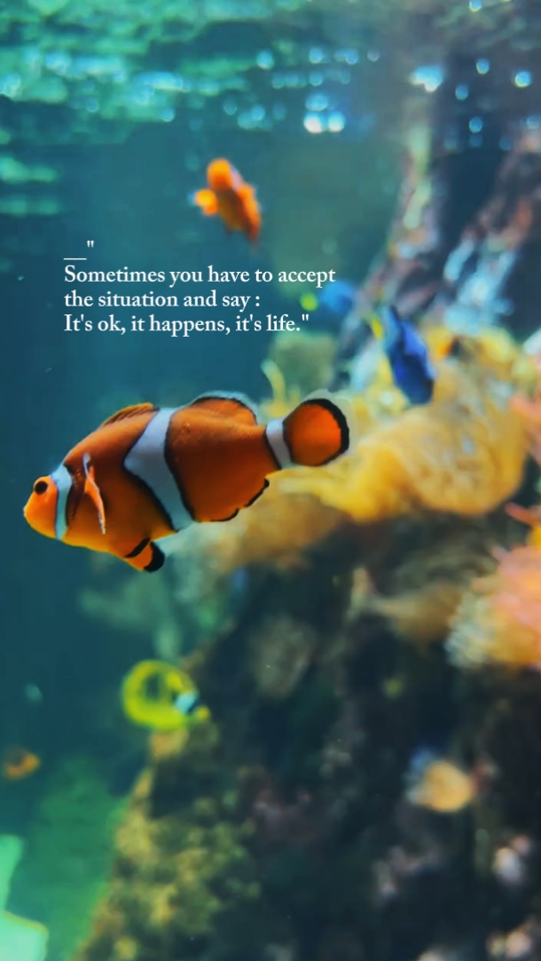 it is life
