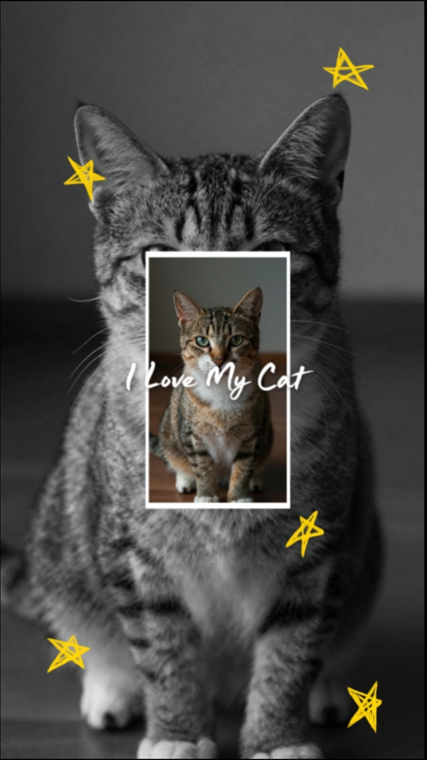 I Love My Cat