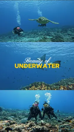 Beauty of Underwater
