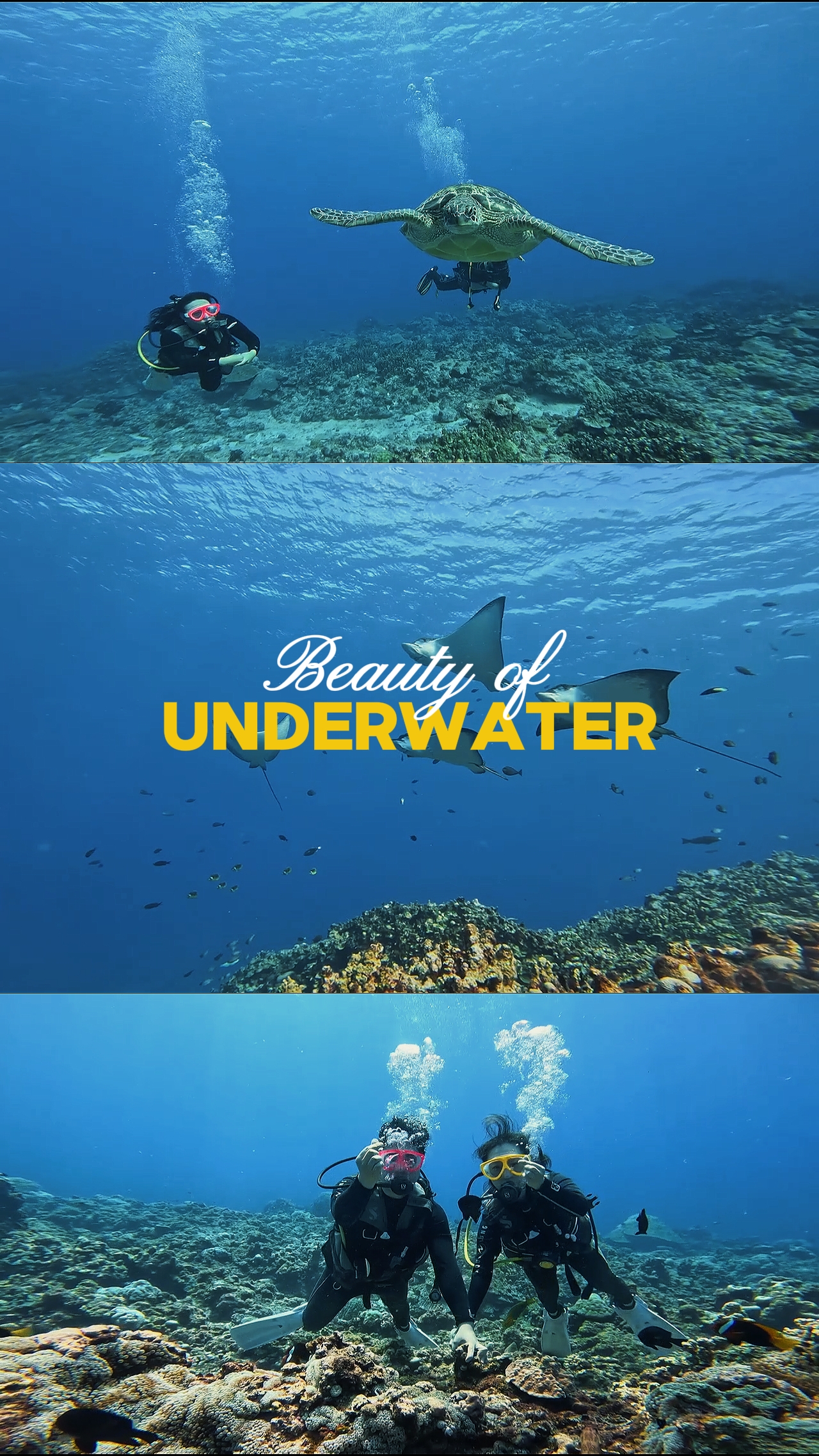 Beauté sous-marine