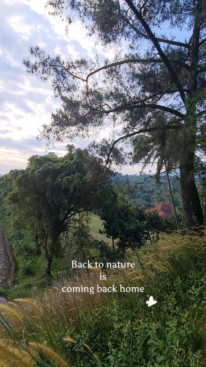 Coming Back Home