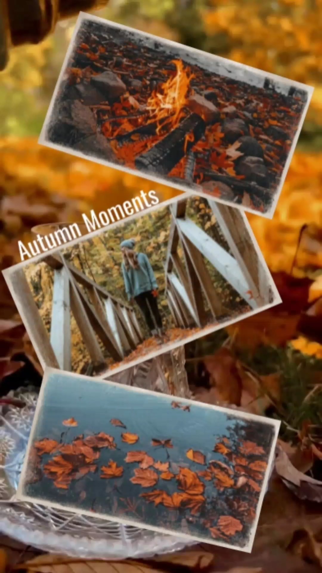 Moments d'automne
