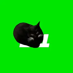 templat cat