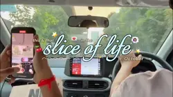 preview | vlog
