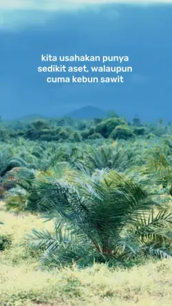 petani sawit muda 