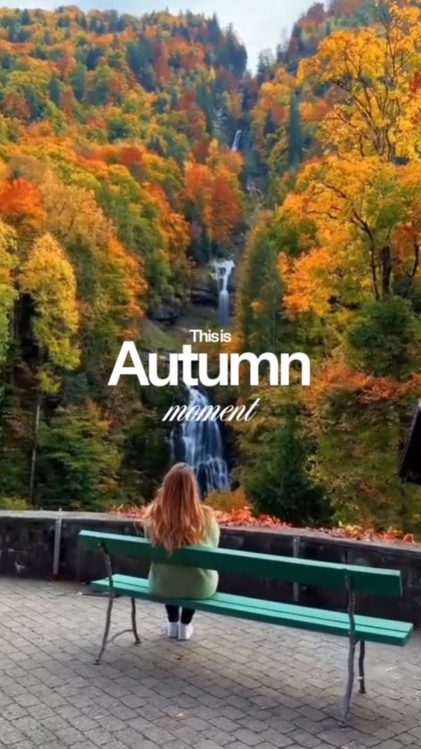 Herbst-Moment