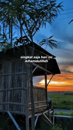 status harian