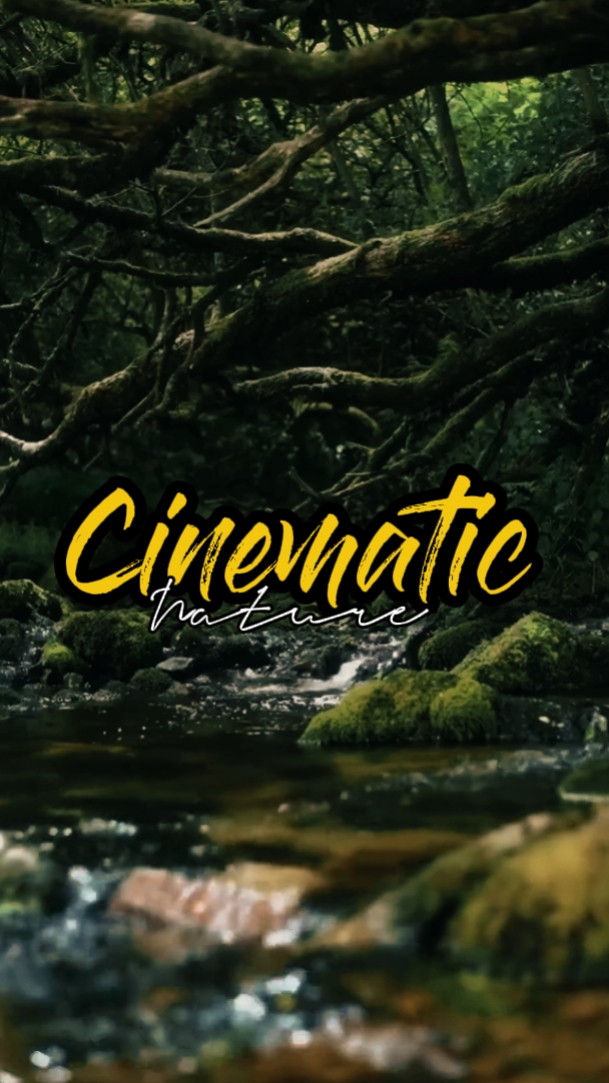 nature cinématographique 