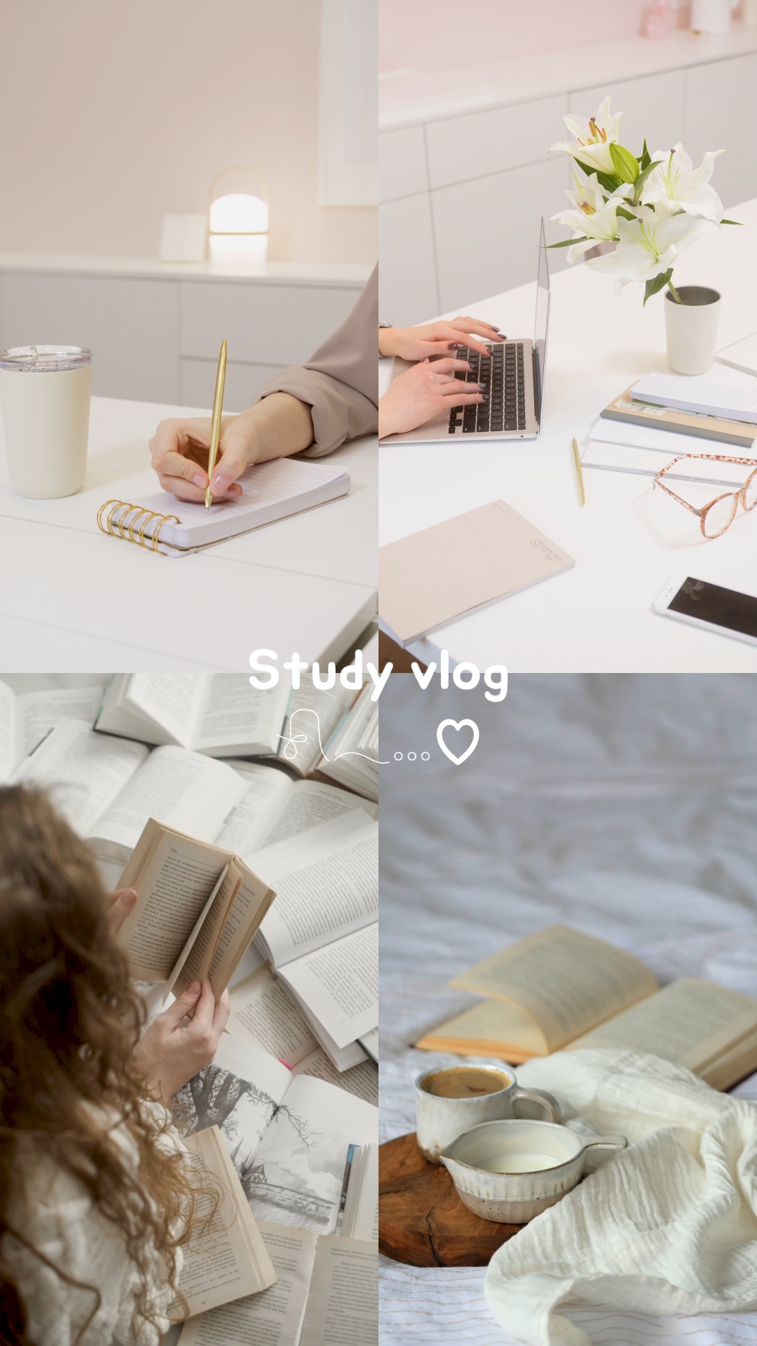study vlog 