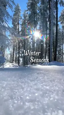 Winter Seasons