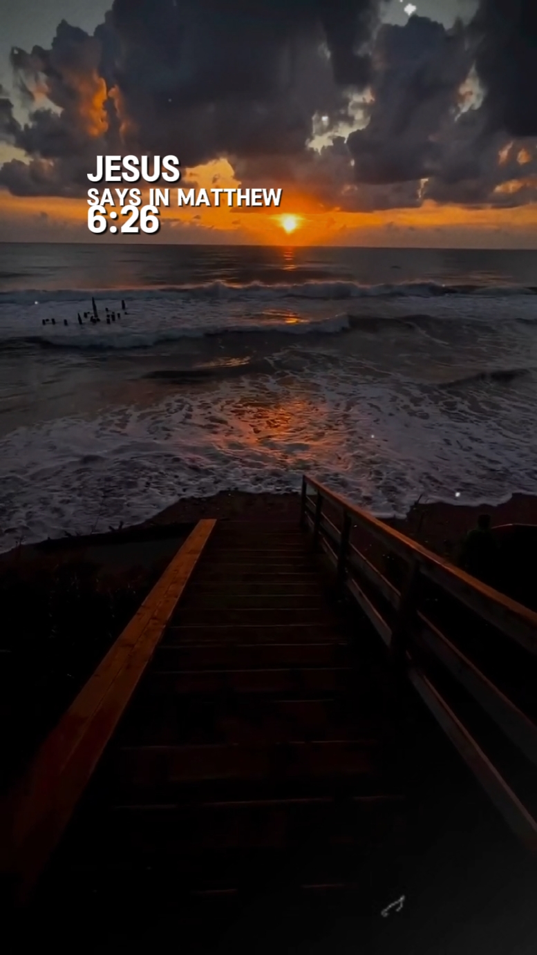 Mateus 6: 26