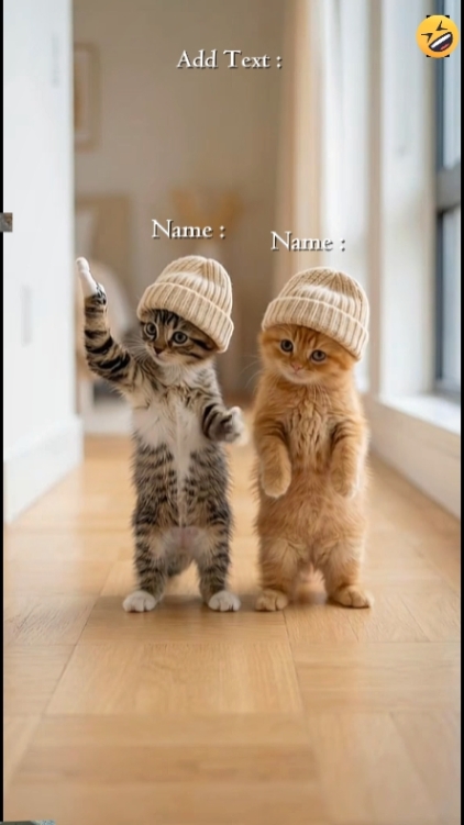Cute Cat. 