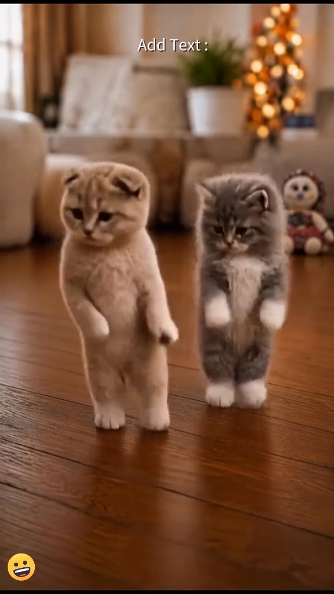 Dance cat 