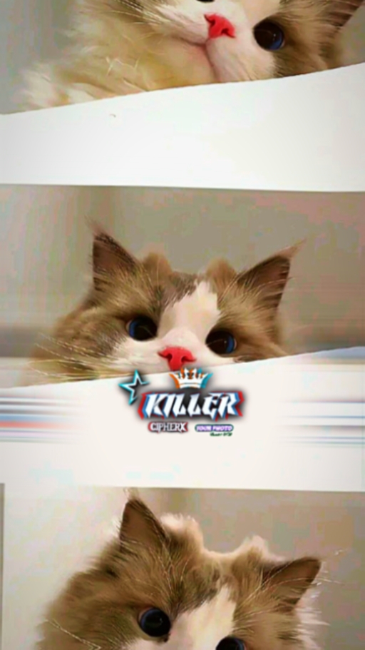 Kane Lambat