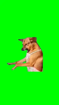 Angry Dog