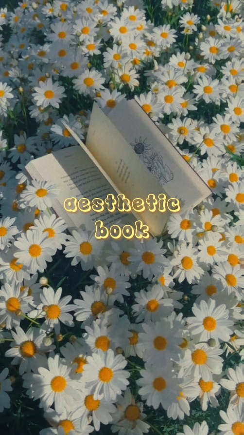 AESTHETIC BOOK