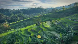 144P TO 4K