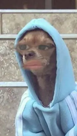 Cuando me borran la