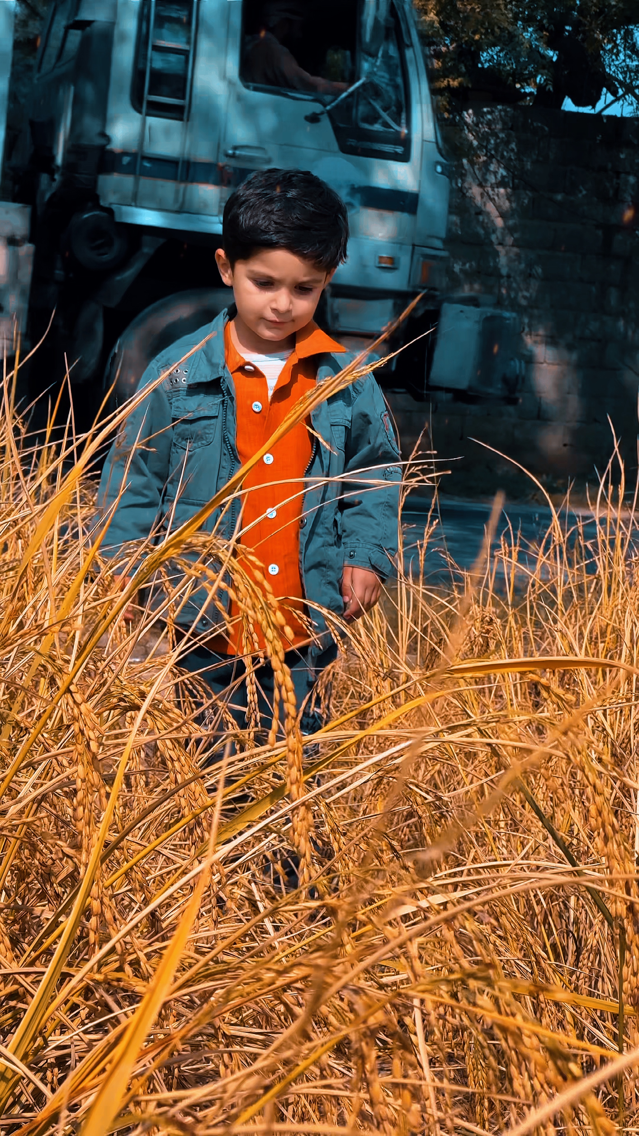 Cover Picture