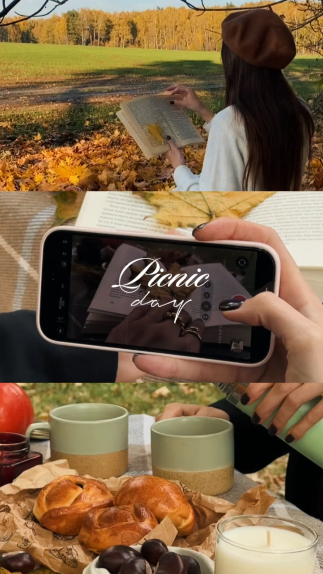 picnic day vlog
