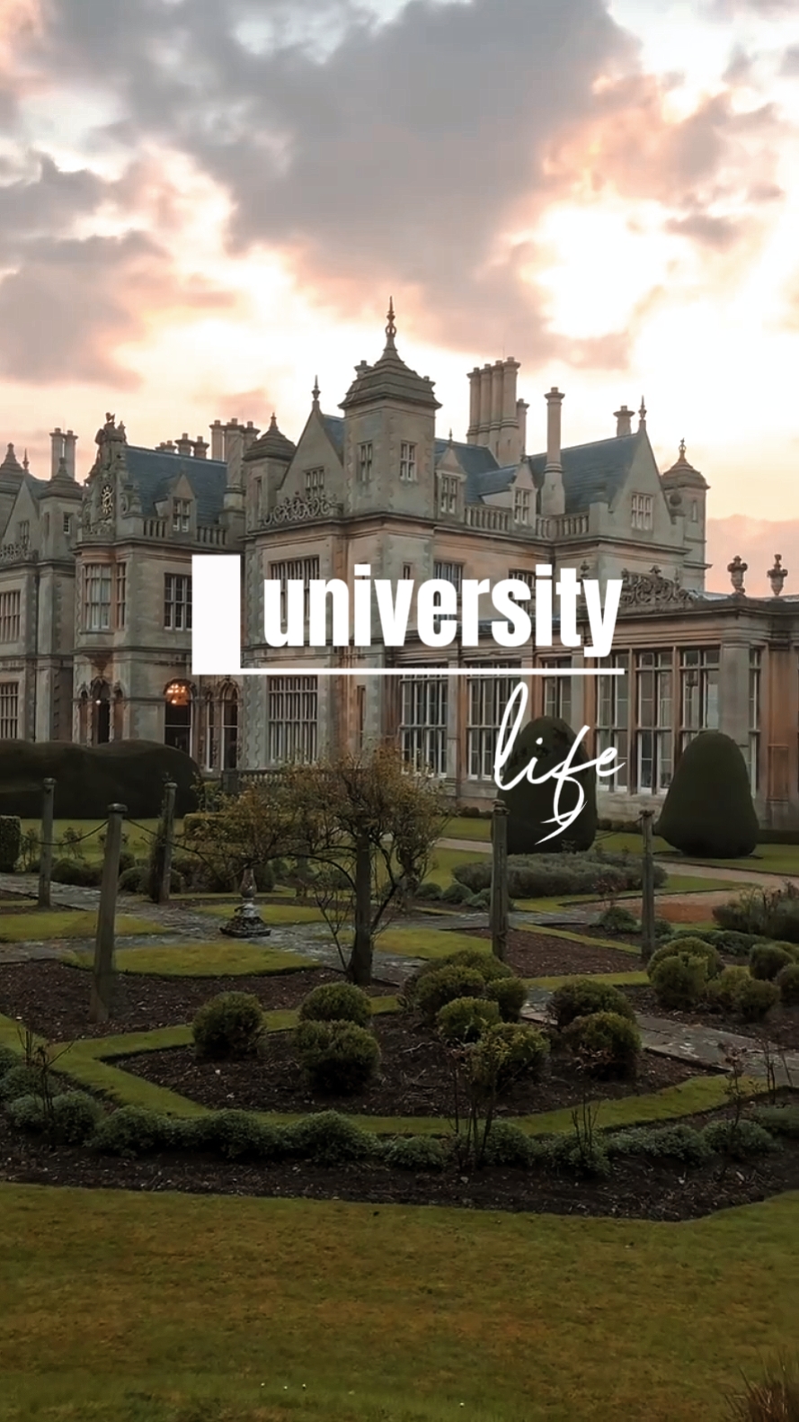 University life