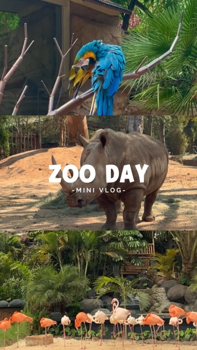 Zootag