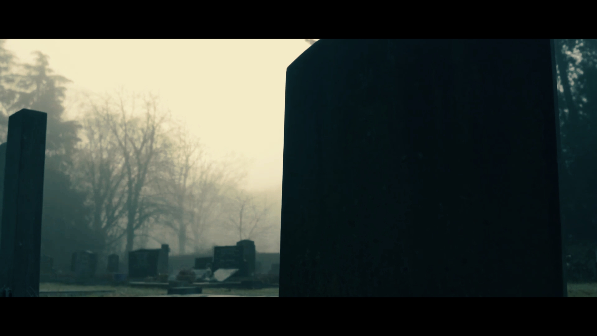 HOROR CINEMATIC 