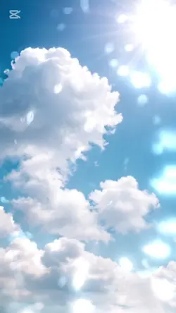 言葉にできない/小田和正