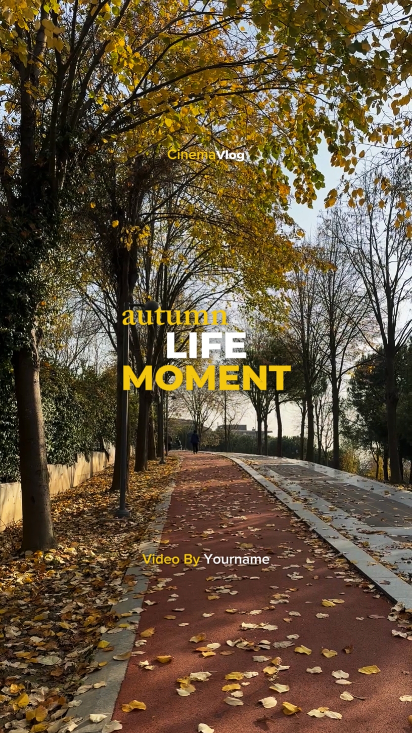 Herbst Leben Moment 