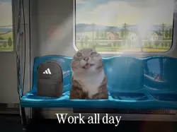 Work all day