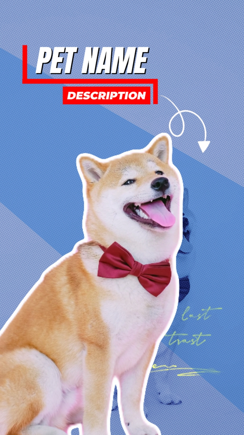 Introdução de animal de estimação