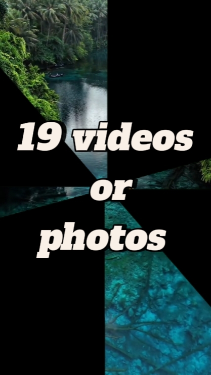 19 photos or videos 