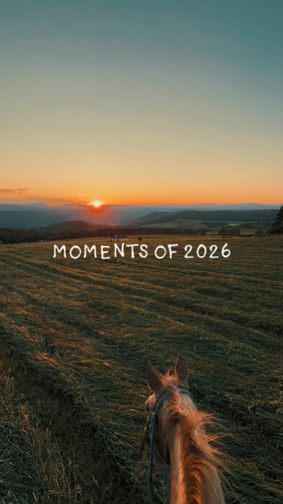 2026 Recap