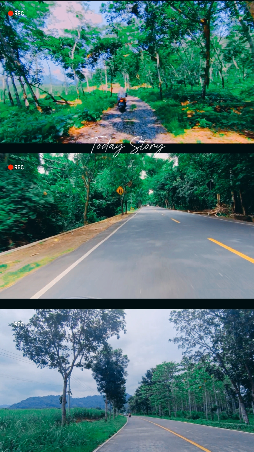 3 Frame Video