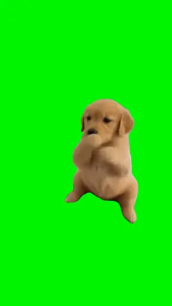 scuba scuba