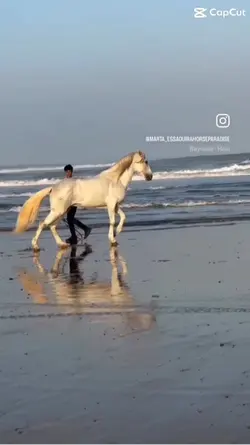 Beach 🏝️ 