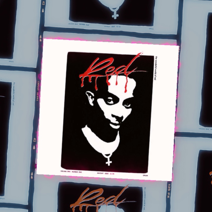 Playboi carti - flex