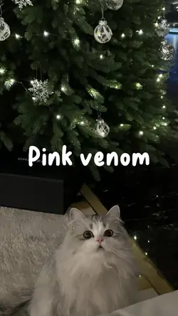 《Pink Venom》