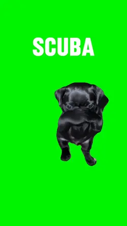 SCUBA DOG