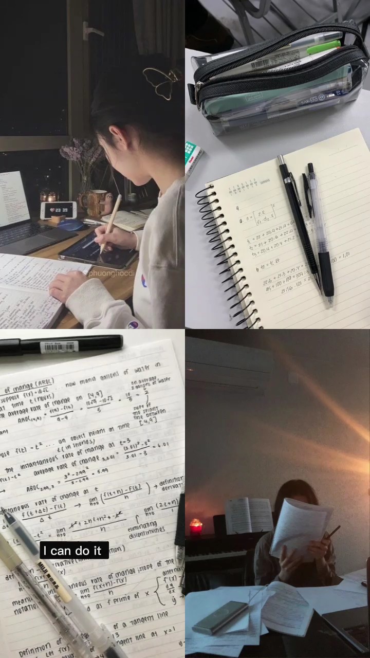 파이 탄 콩