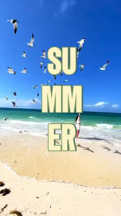 summer story