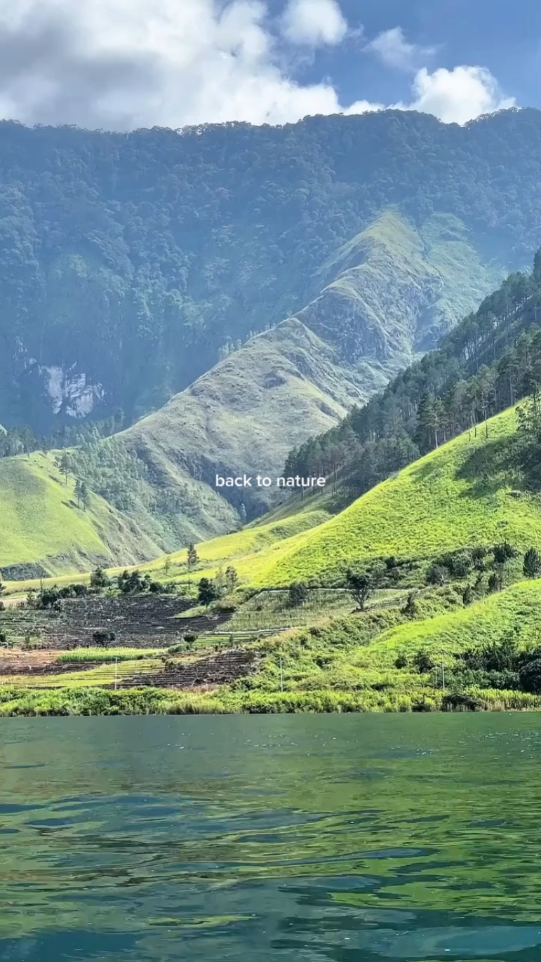 back to nature