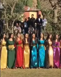 jın jiyan azadi 