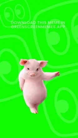 pig dancing meme