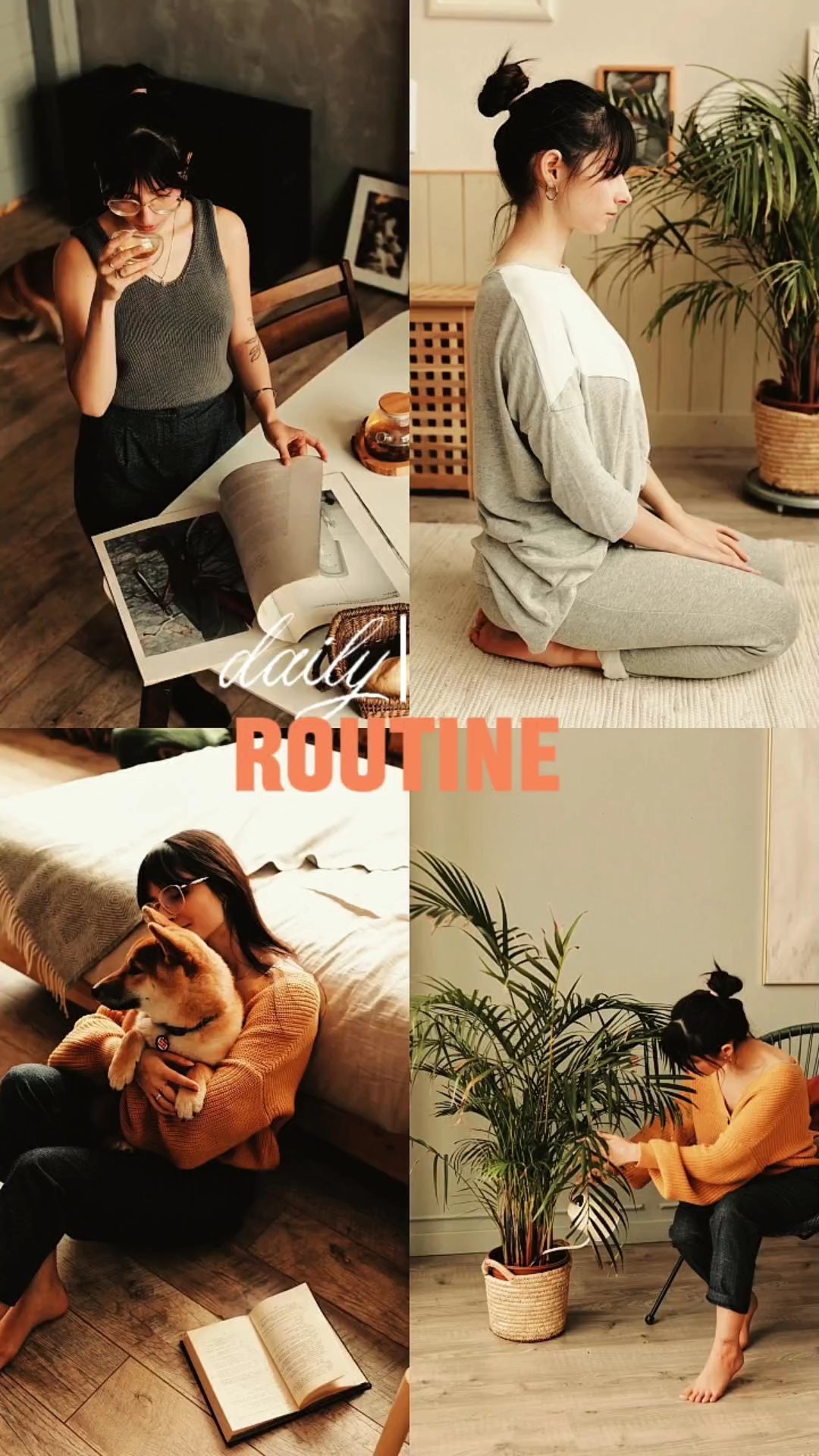 Daily Routine 